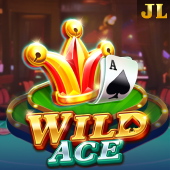Wild Ace slot on jljl55 login app